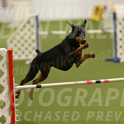 Sage-Nanette-Jarrett-04475