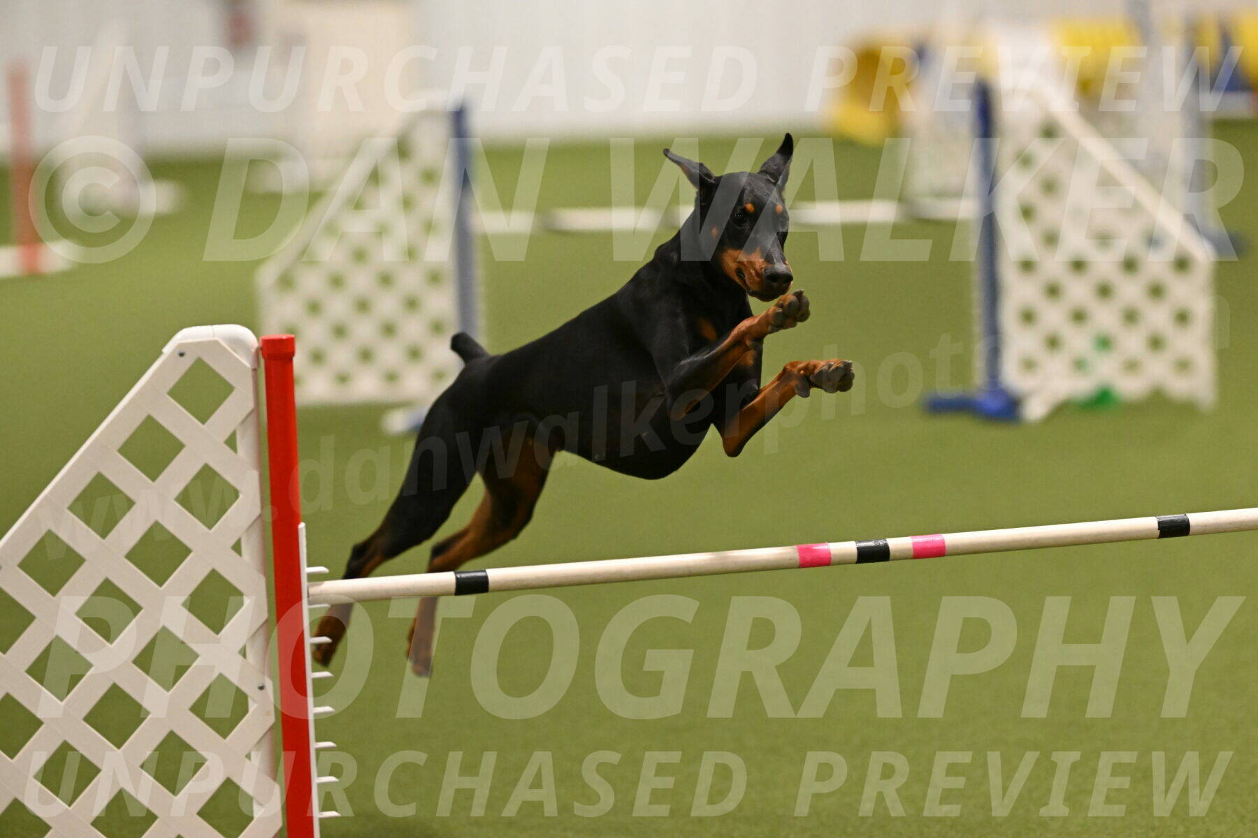 Sage-Nanette-Jarrett-04475