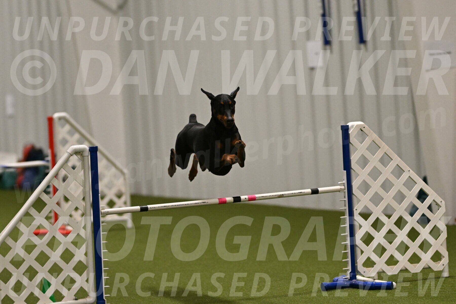 Sage-Nanette-Jarrett-04476