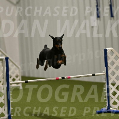 Sage-Nanette-Jarrett-04476