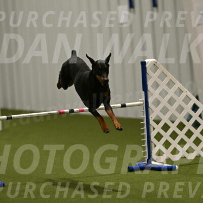 Sage-Nanette-Jarrett-04477