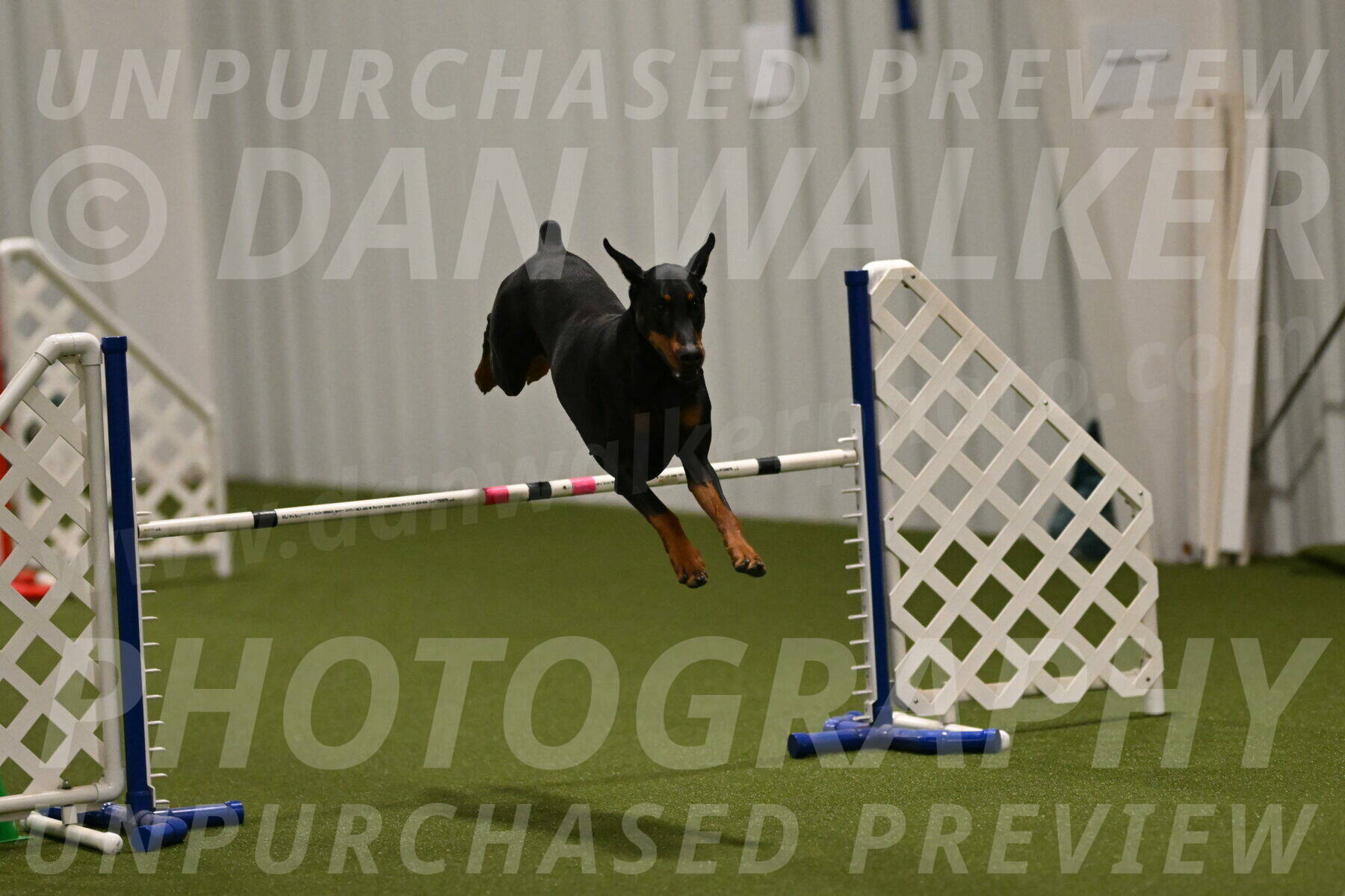 Sage-Nanette-Jarrett-04477