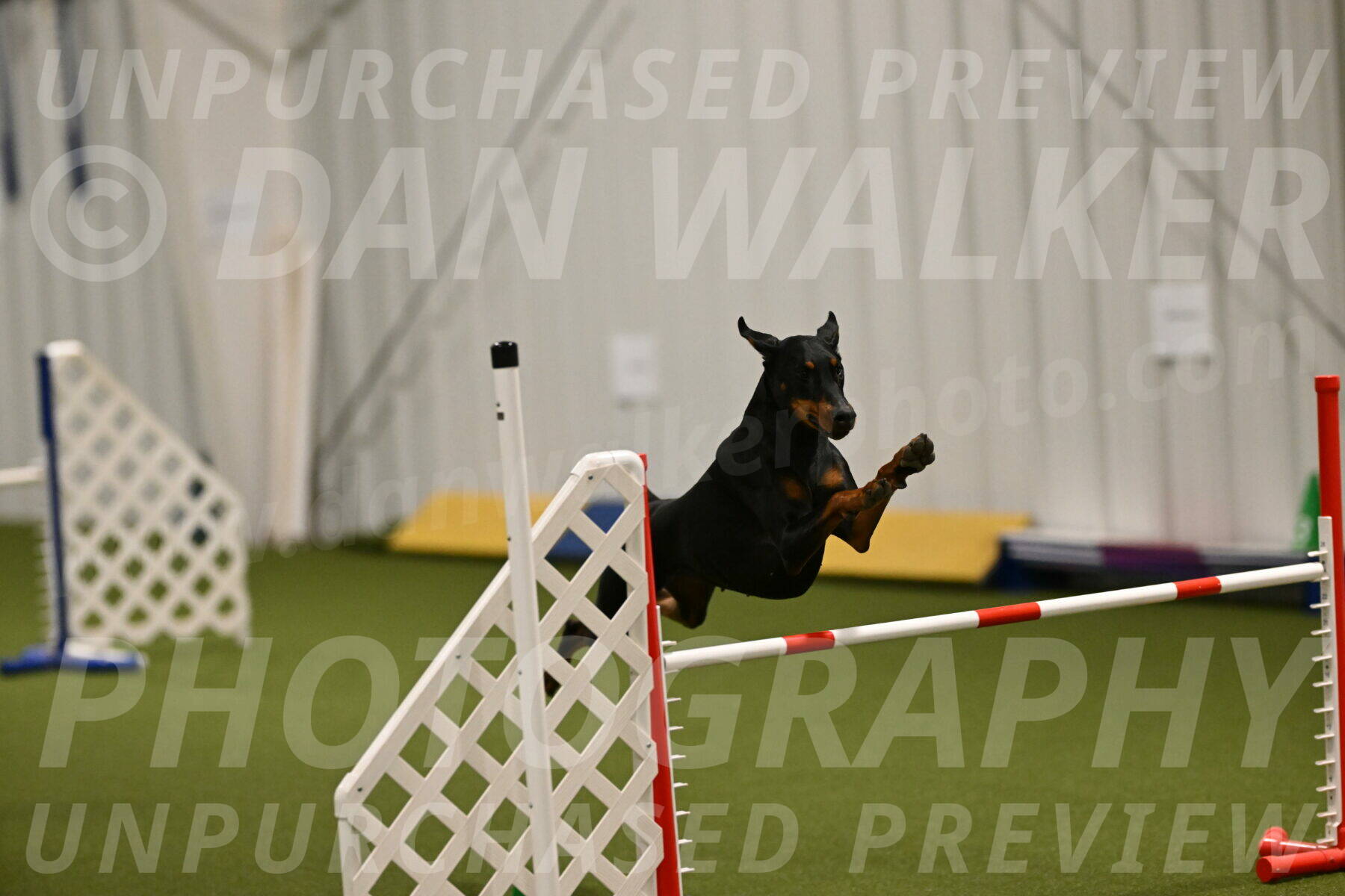 Sage-Nanette-Jarrett-04478