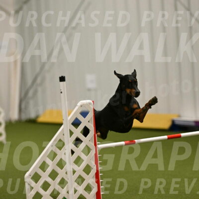 Sage-Nanette-Jarrett-04478