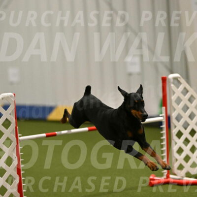 Sage-Nanette-Jarrett-04479