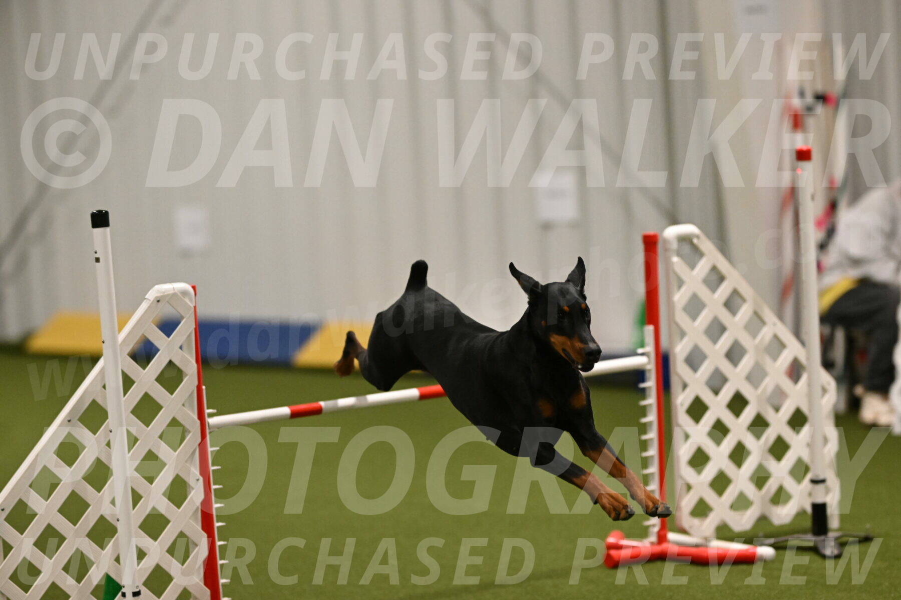 Sage-Nanette-Jarrett-04479