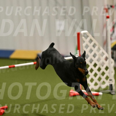 Sage-Nanette-Jarrett-04480