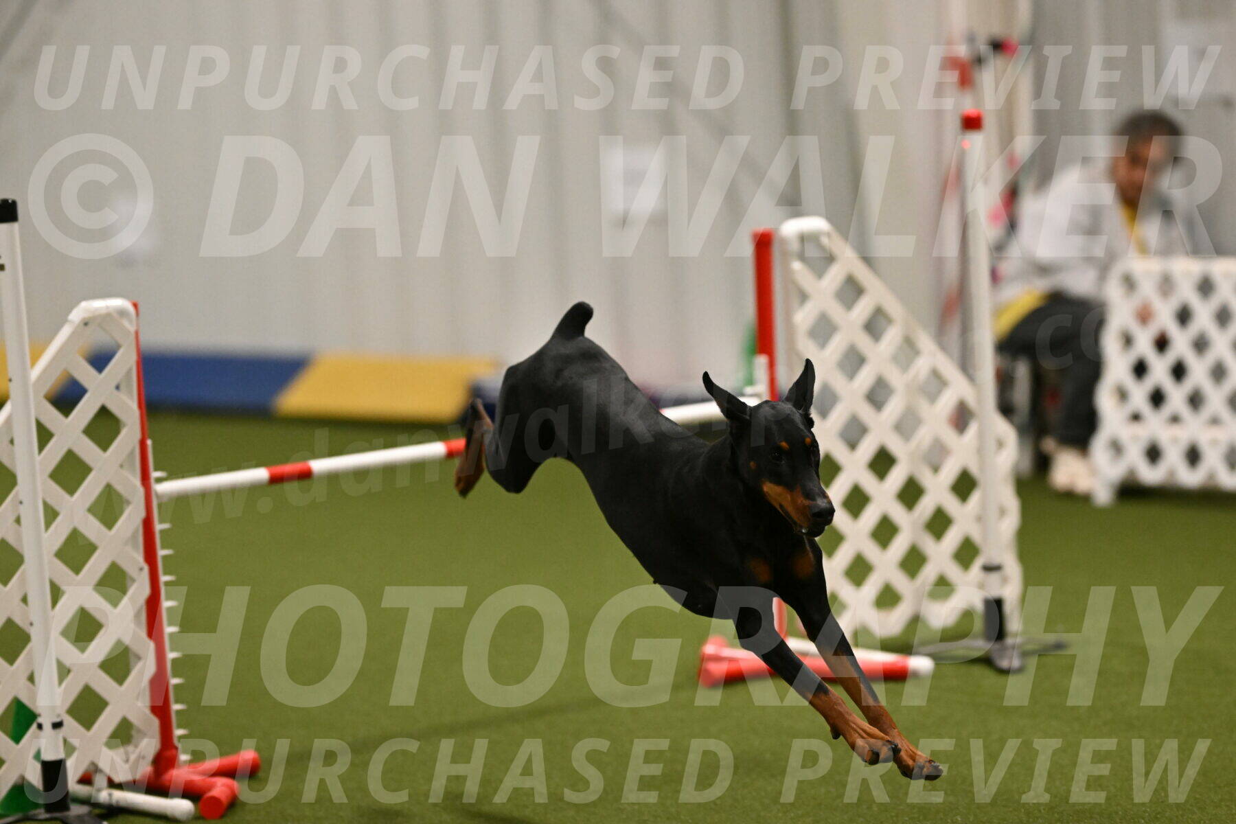 Sage-Nanette-Jarrett-04480