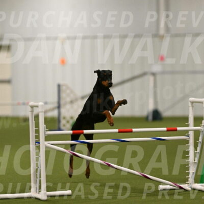 Sage-Nanette-Jarrett-04481