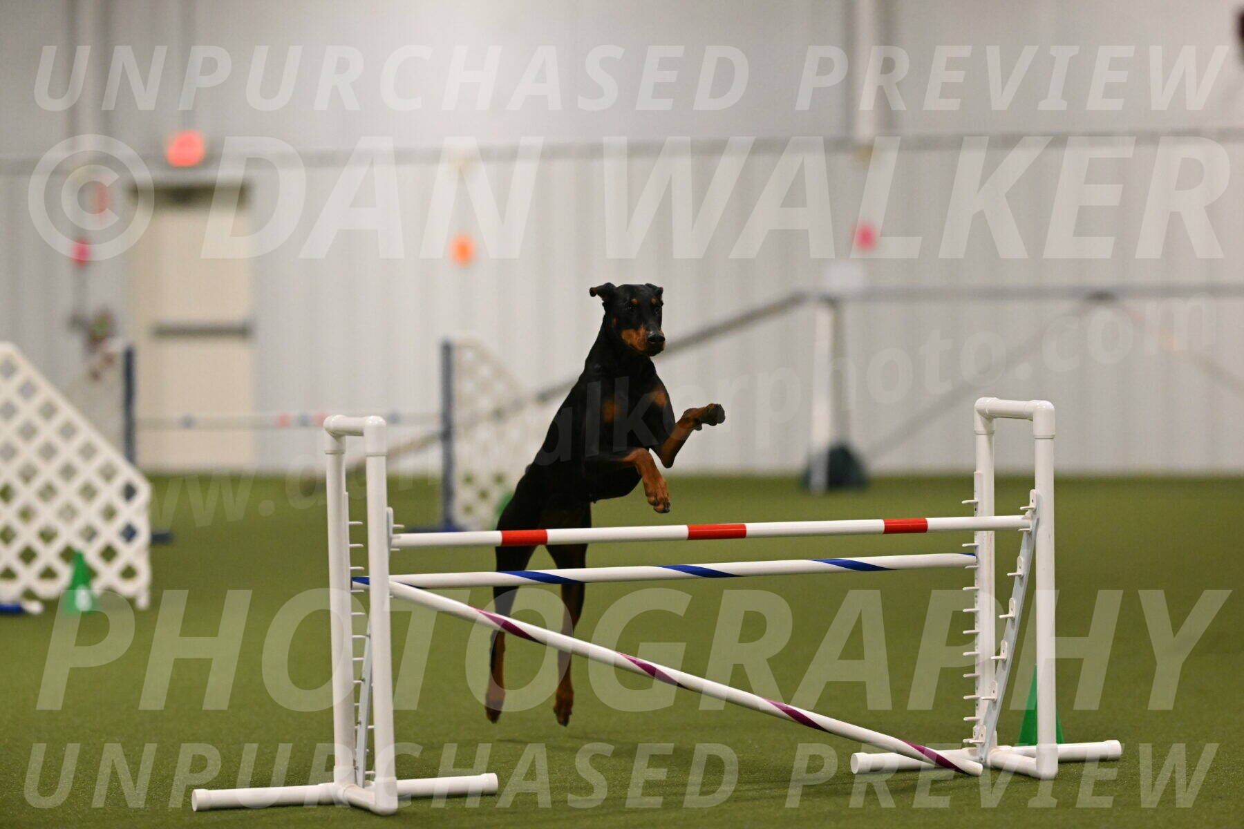 Sage-Nanette-Jarrett-04481