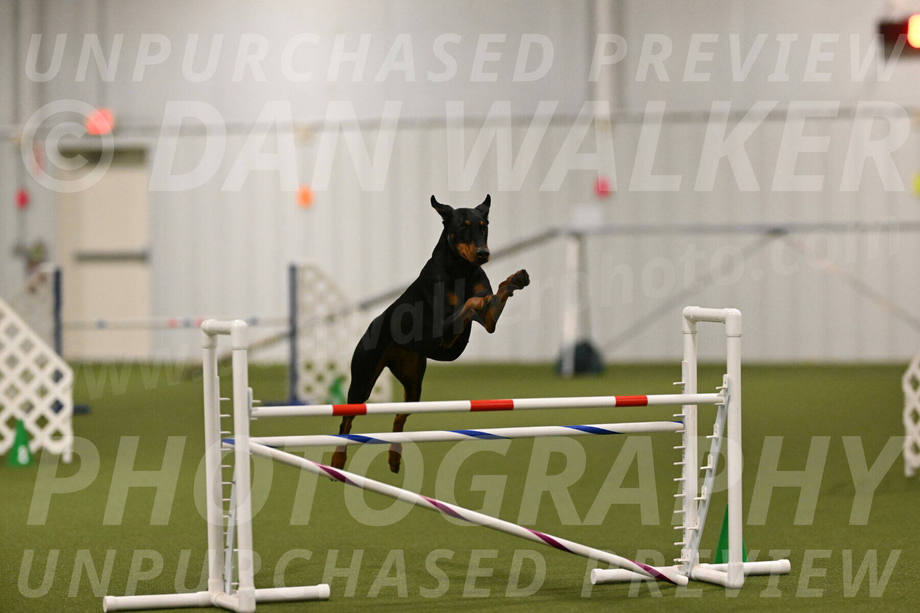 Sage-Nanette-Jarrett-04482