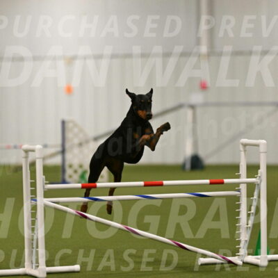 Sage-Nanette-Jarrett-04482