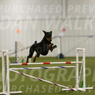 Sage-Nanette-Jarrett-04483