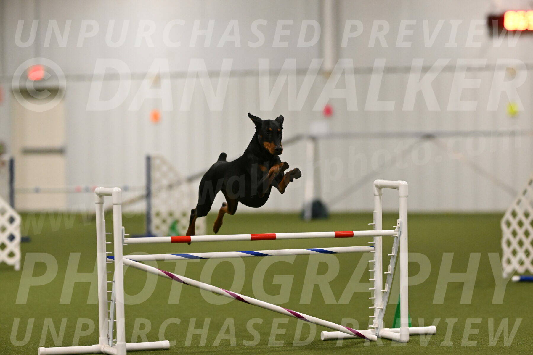 Sage-Nanette-Jarrett-04483