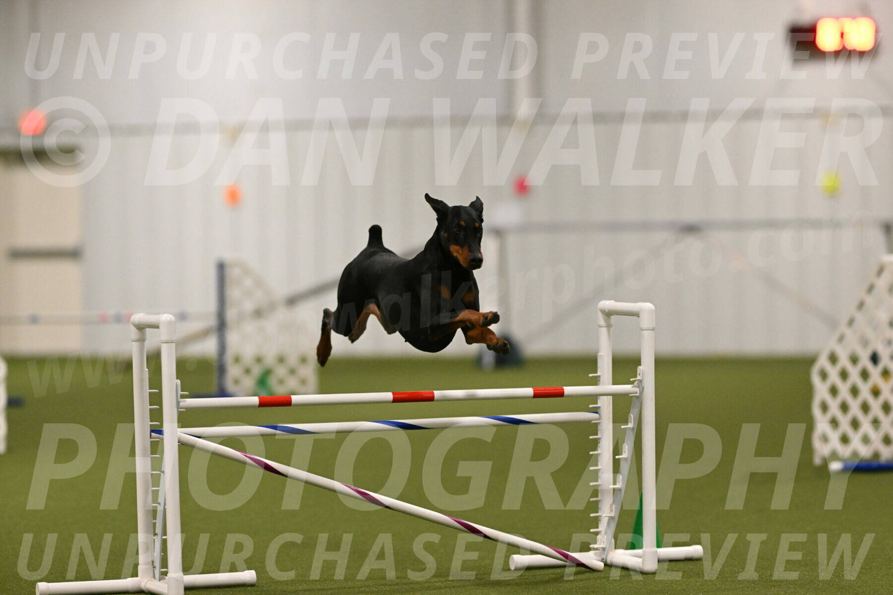 Sage-Nanette-Jarrett-04484