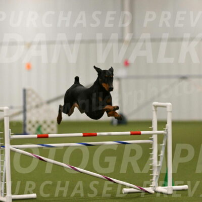 Sage-Nanette-Jarrett-04484