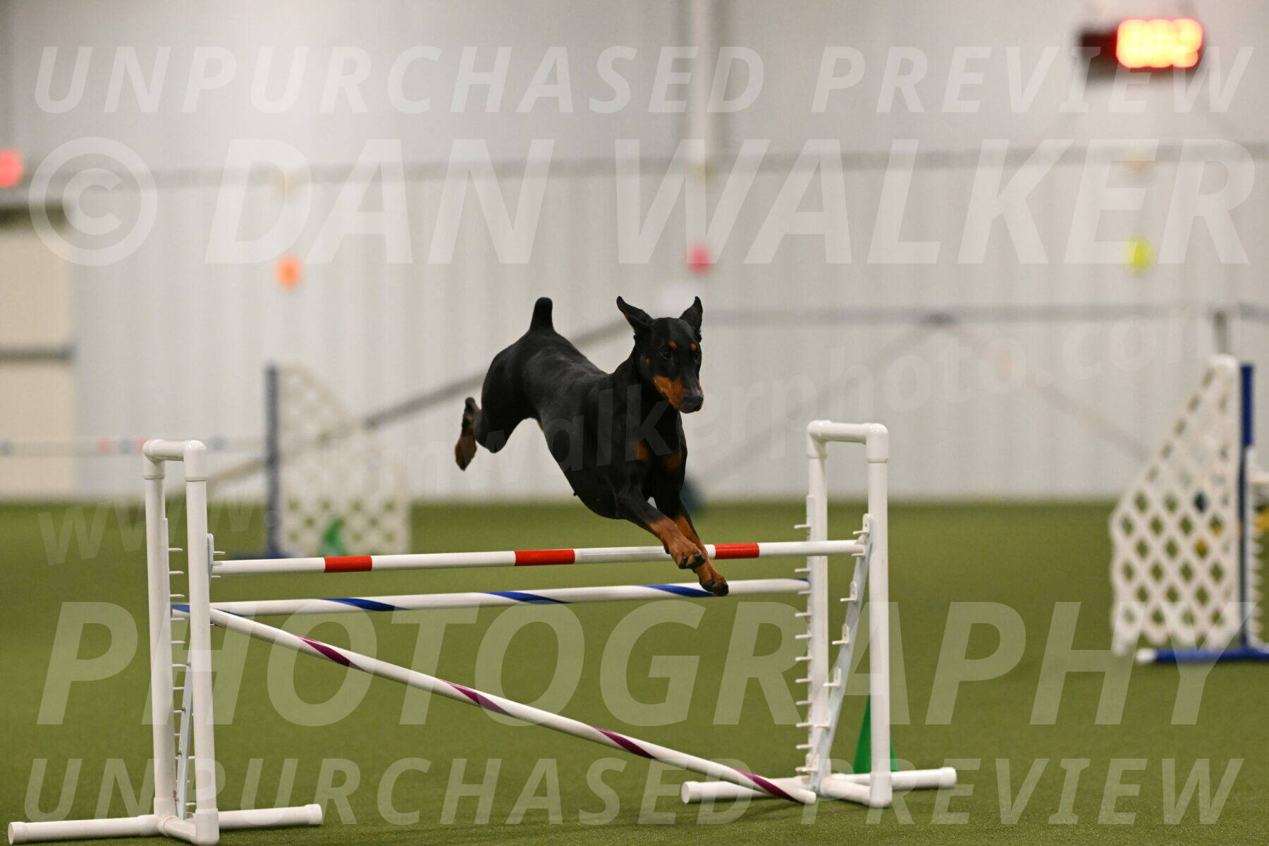 Sage-Nanette-Jarrett-04485