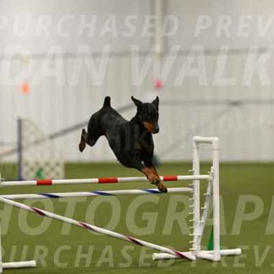 Sage-Nanette-Jarrett-04485