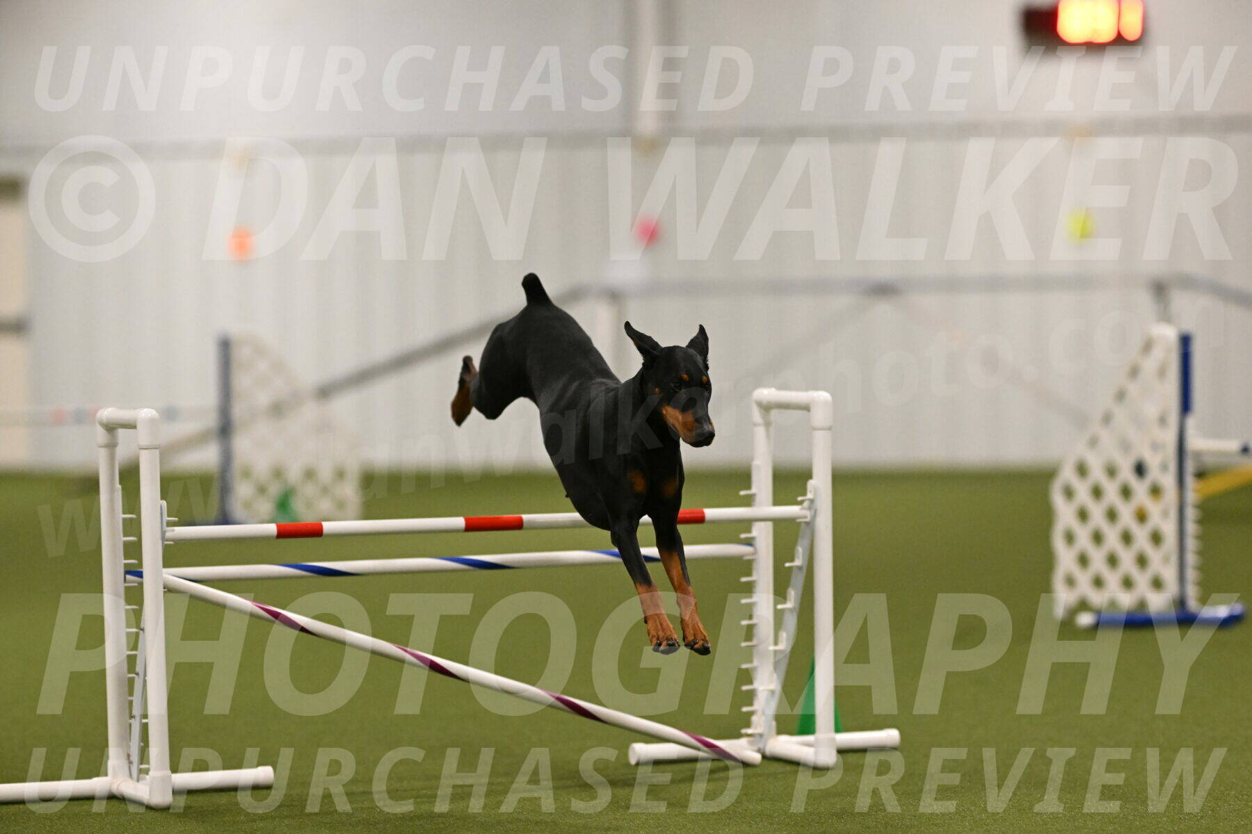 Sage-Nanette-Jarrett-04486