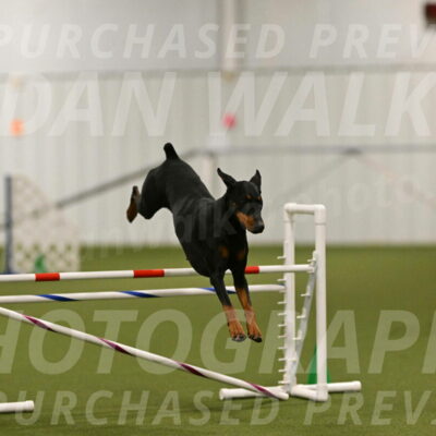 Sage-Nanette-Jarrett-04486