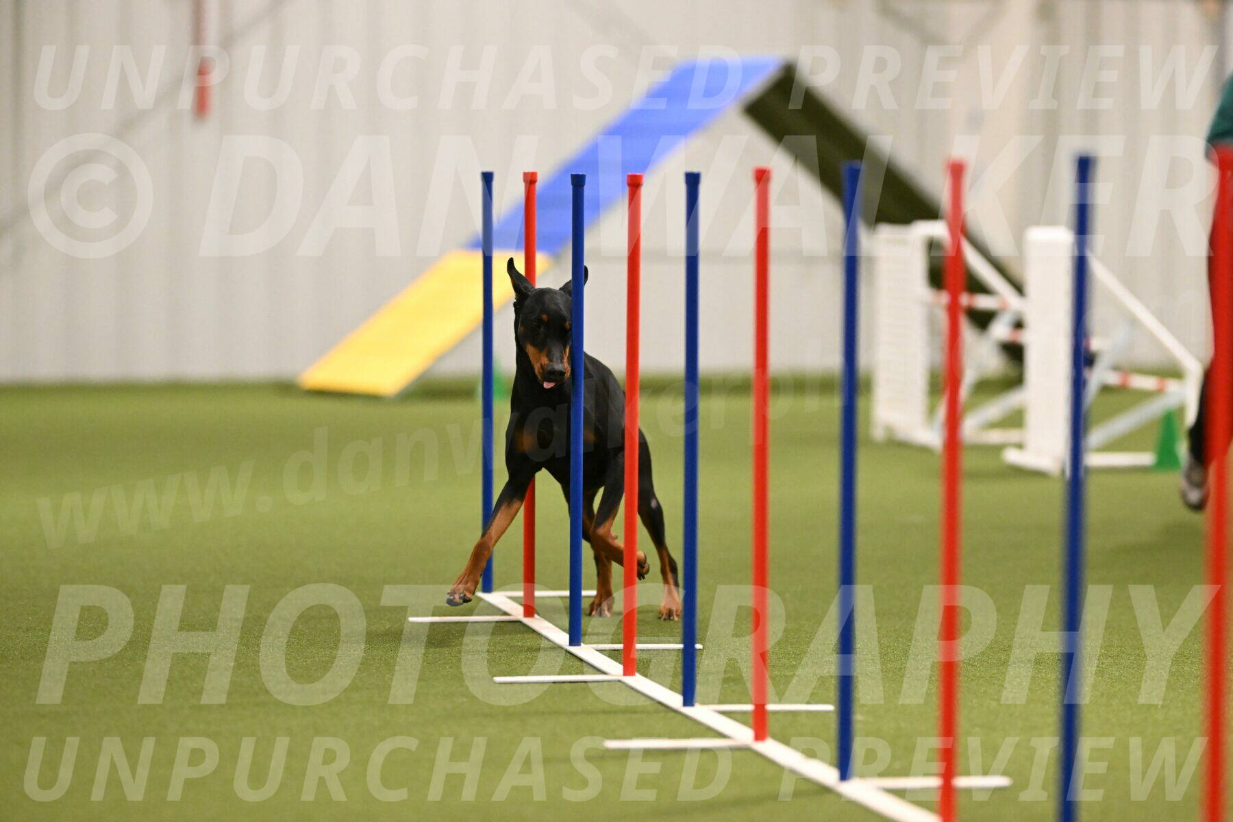 Sage-Nanette-Jarrett-04487