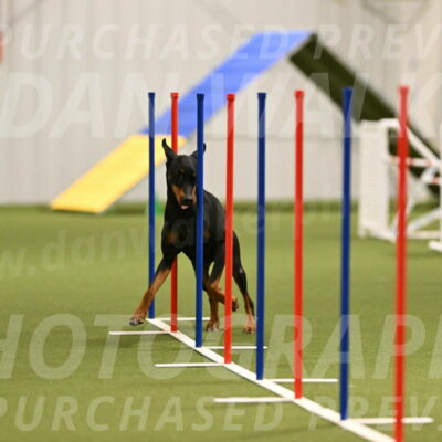 Sage-Nanette-Jarrett-04487