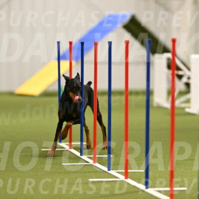 Sage-Nanette-Jarrett-04488