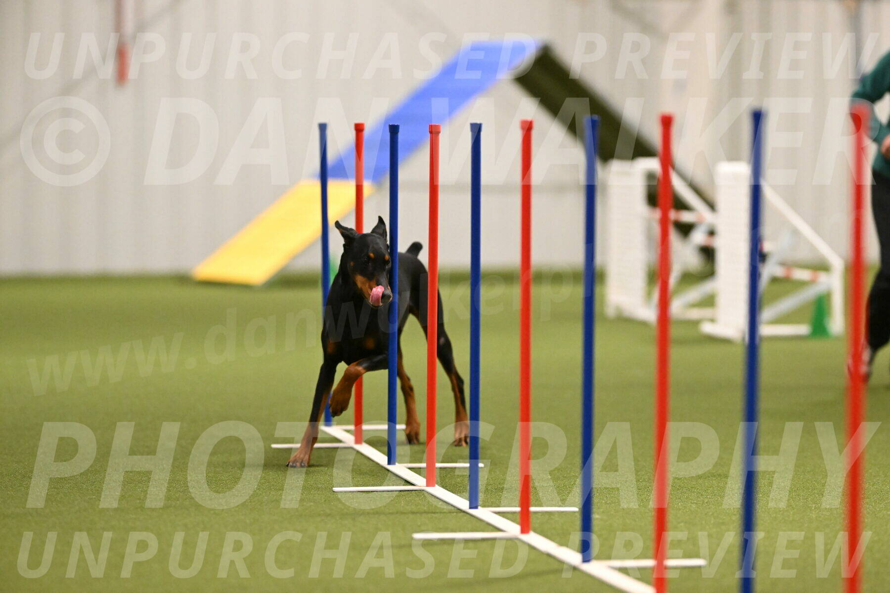 Sage-Nanette-Jarrett-04488