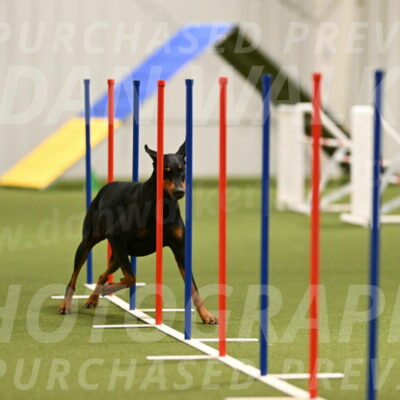 Sage-Nanette-Jarrett-04489