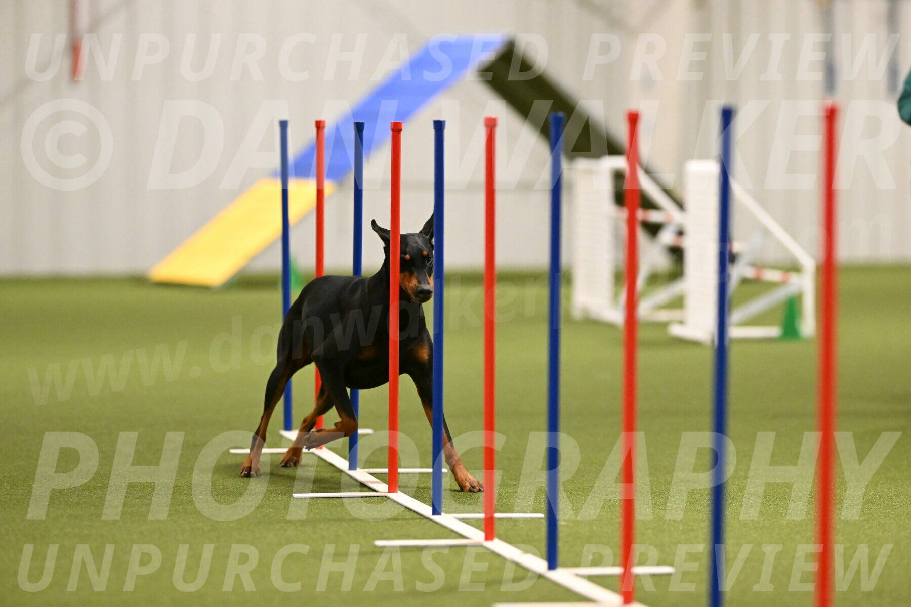 Sage-Nanette-Jarrett-04489