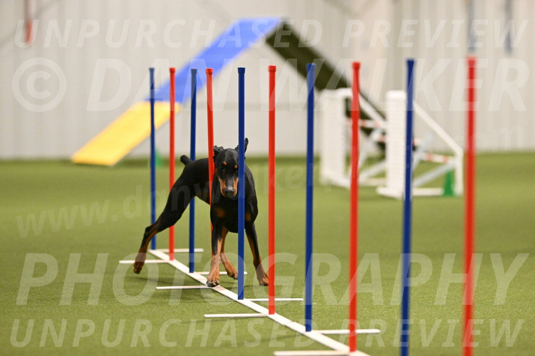 Sage-Nanette-Jarrett-04490