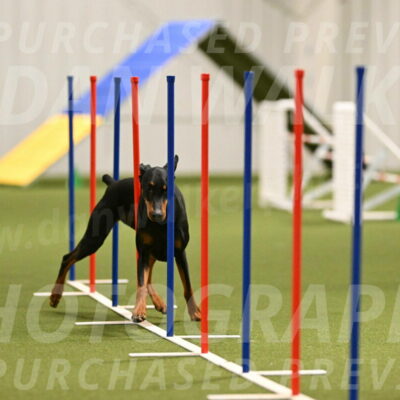 Sage-Nanette-Jarrett-04490