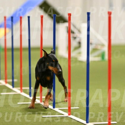 Sage-Nanette-Jarrett-04491