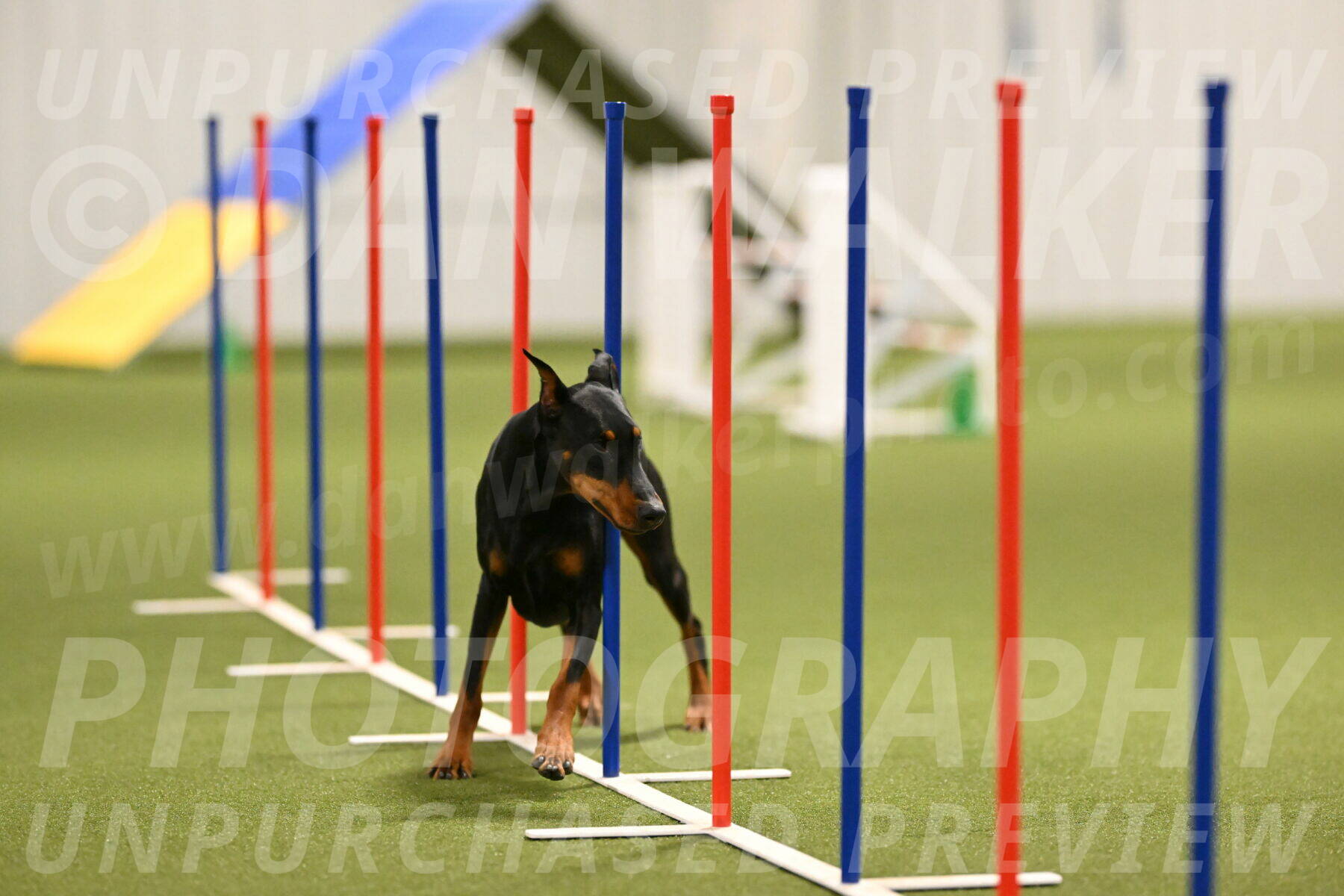 Sage-Nanette-Jarrett-04491