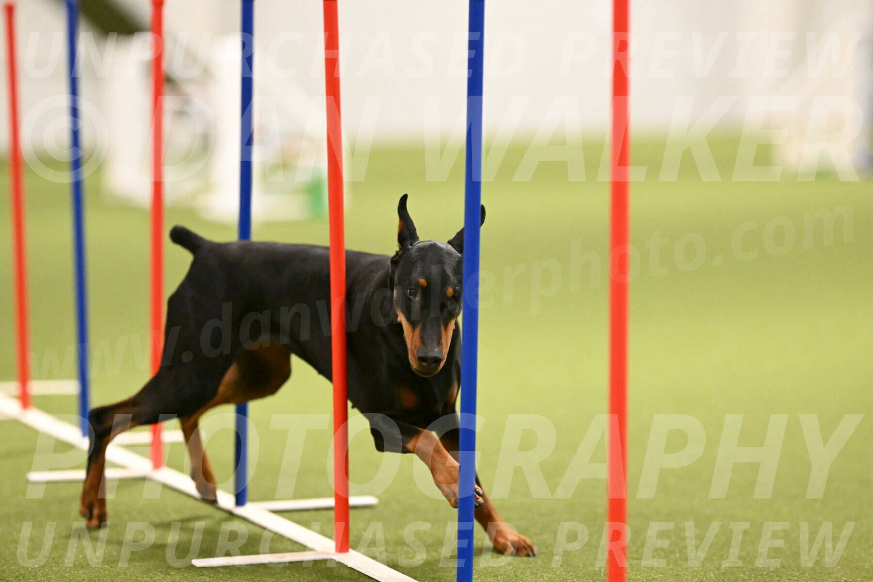 Sage-Nanette-Jarrett-04492