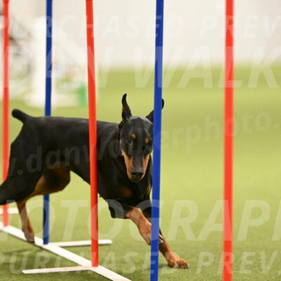 Sage-Nanette-Jarrett-04492