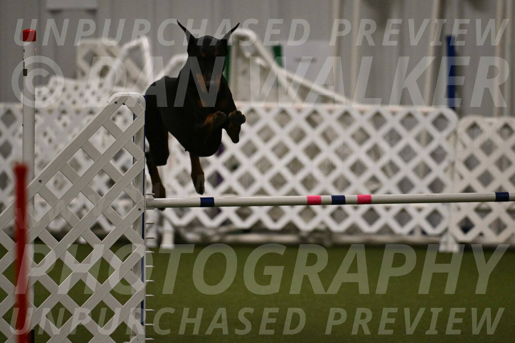 Sage-Nanette-Jarrett-04493