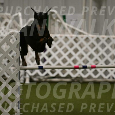 Sage-Nanette-Jarrett-04493