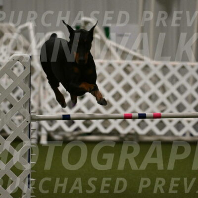 Sage-Nanette-Jarrett-04494