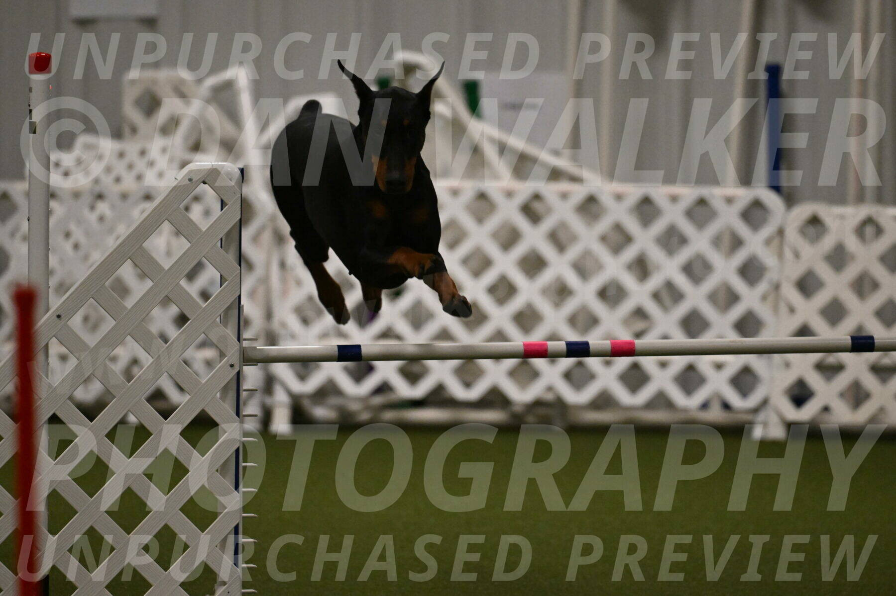 Sage-Nanette-Jarrett-04494