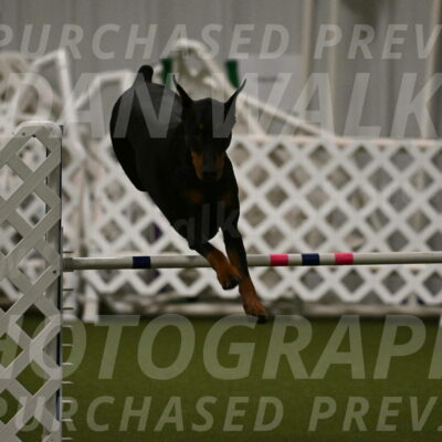 Sage-Nanette-Jarrett-04495