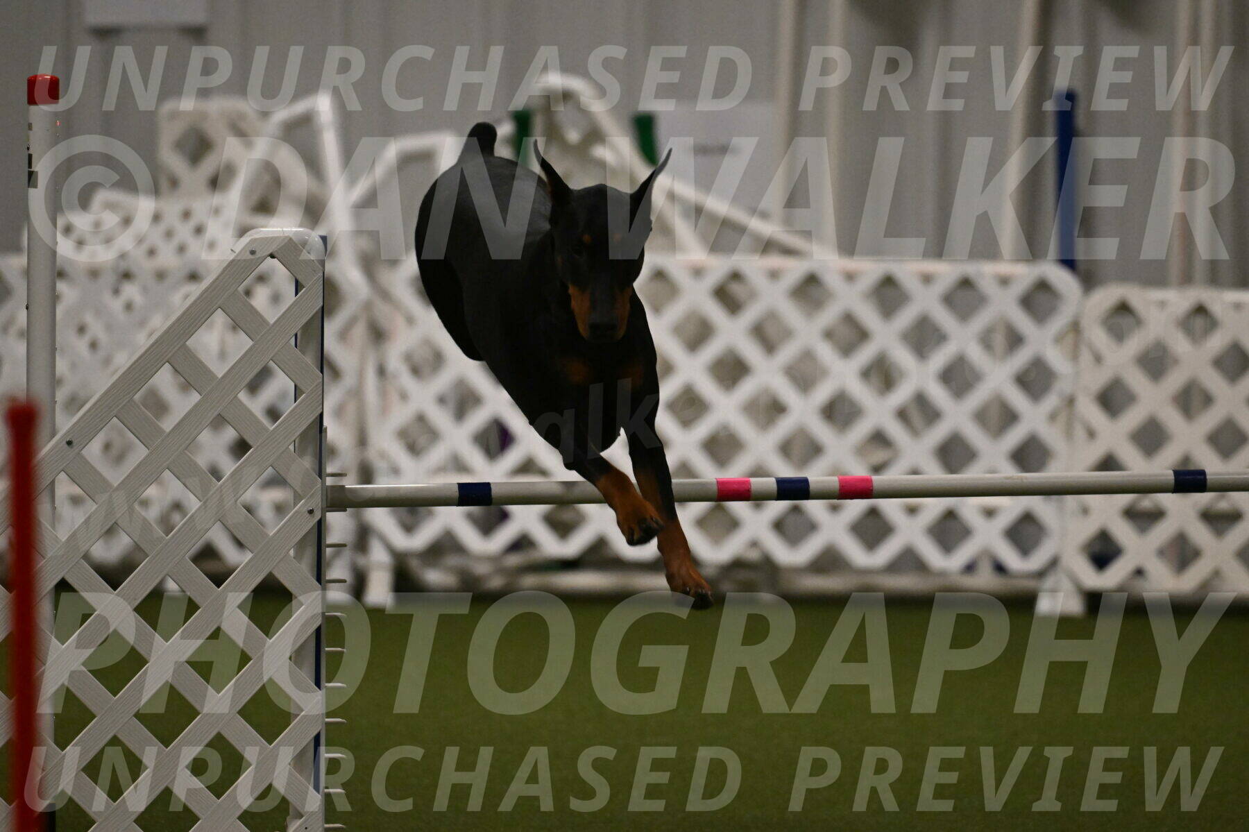 Sage-Nanette-Jarrett-04495