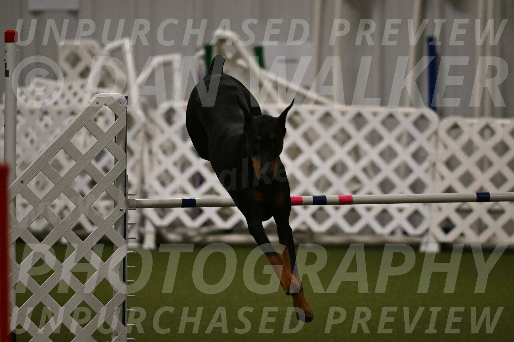 Sage-Nanette-Jarrett-04496