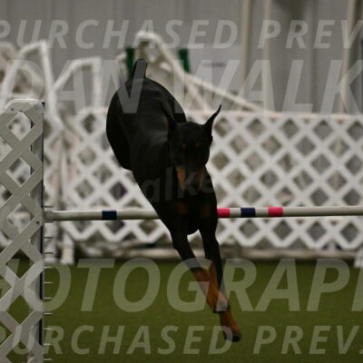 Sage-Nanette-Jarrett-04496