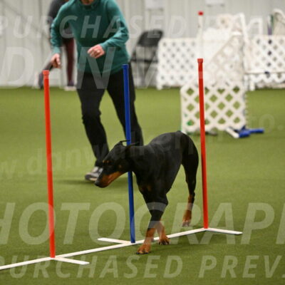 Sage-Nanette-Jarrett-04497