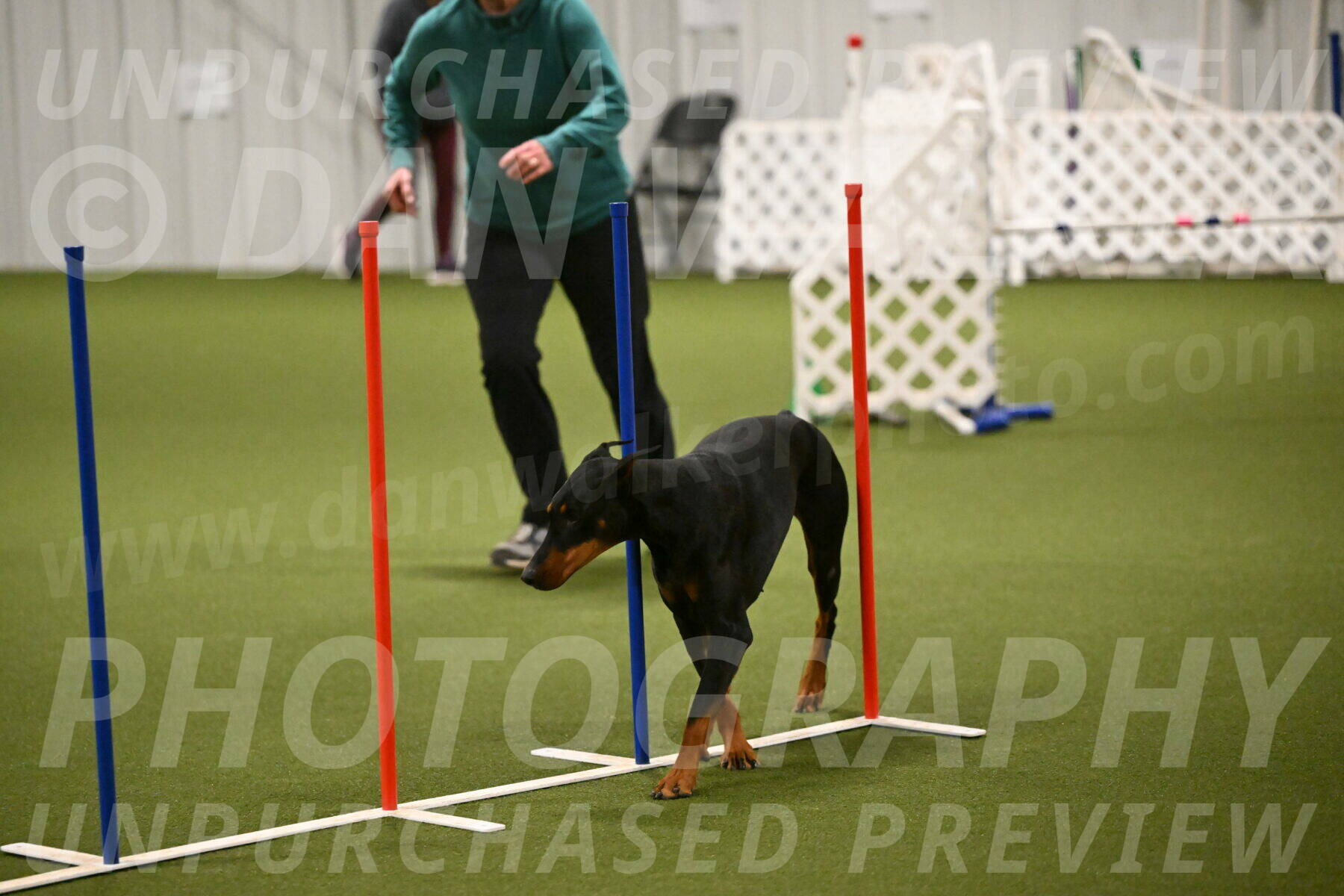 Sage-Nanette-Jarrett-04497