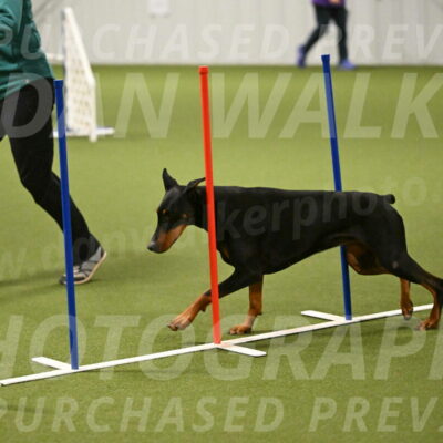 Sage-Nanette-Jarrett-04498