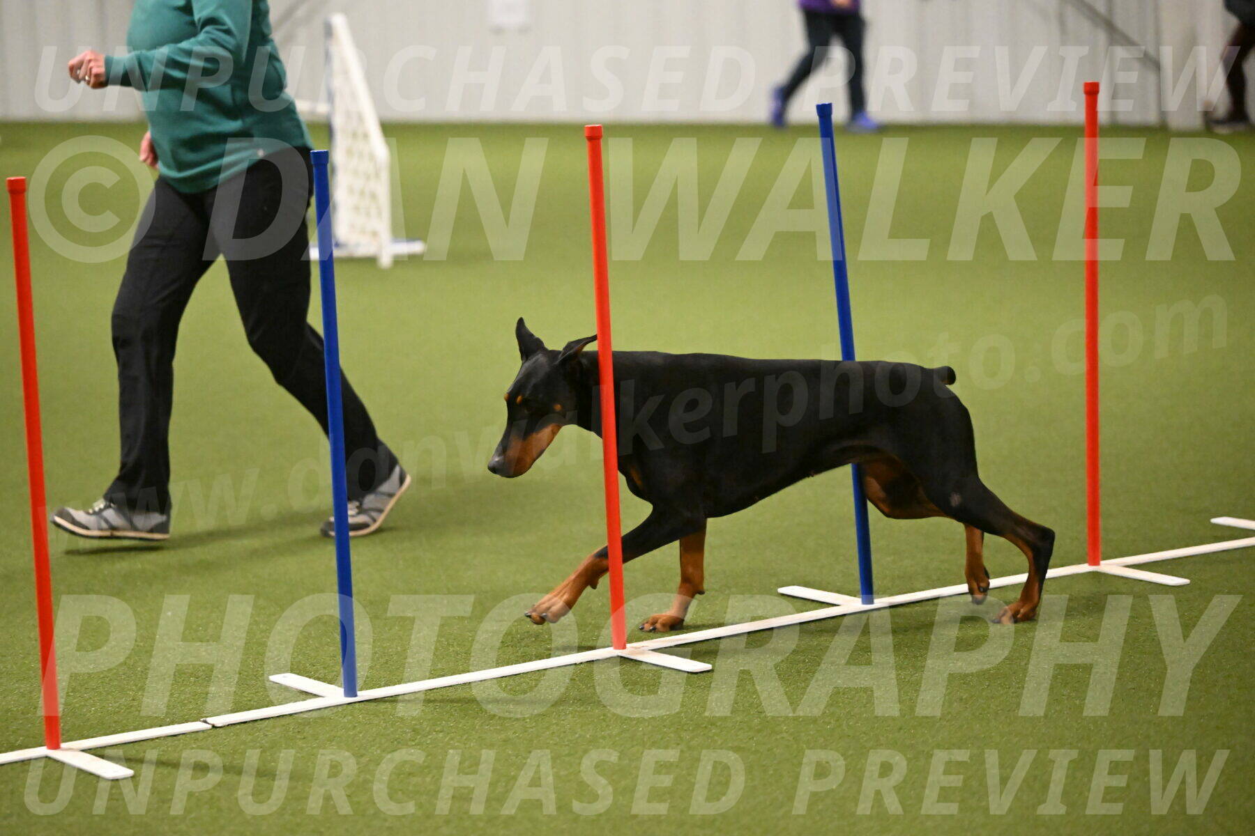 Sage-Nanette-Jarrett-04498