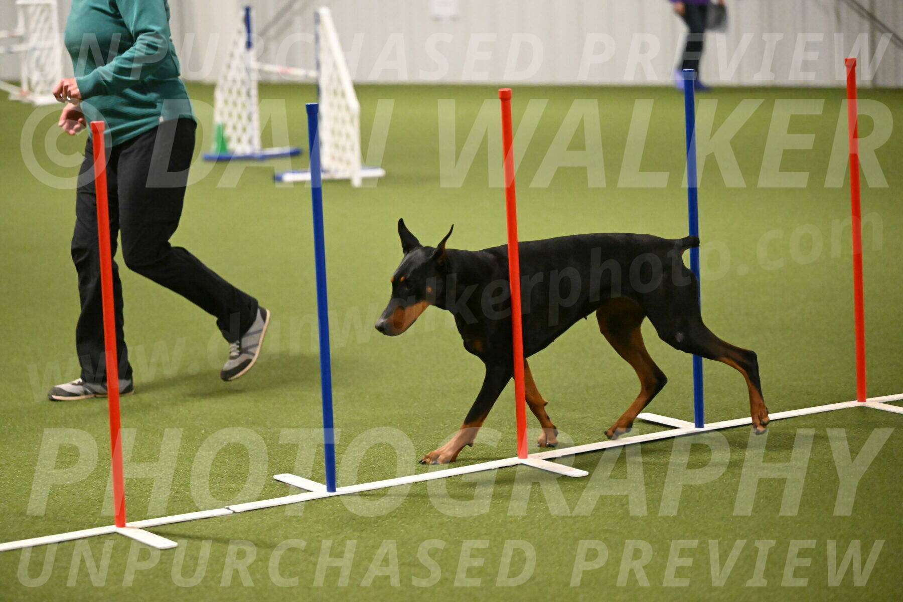 Sage-Nanette-Jarrett-04499