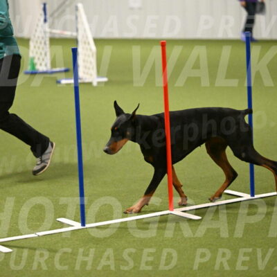 Sage-Nanette-Jarrett-04499